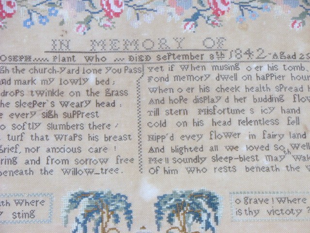 4289sampler