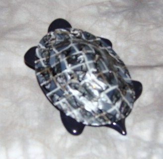 5278tortoise