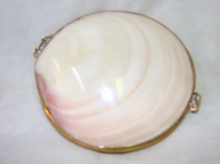 scallop_purse