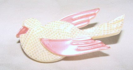swallow
